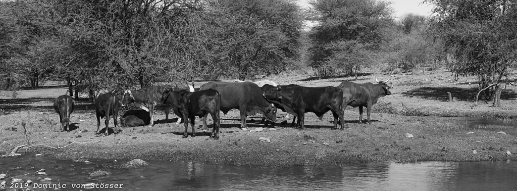 Plenty. Okahandja.
